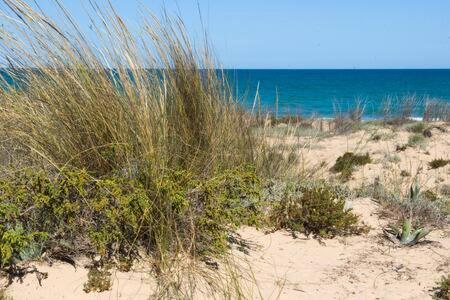 Casa Felipa, Una Estancia Unica En La Costa Blanca 瓜尔达马尔·德尔·塞古拉 外观 照片