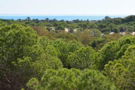 Casa Felipa, Una Estancia Unica En La Costa Blanca 瓜尔达马尔·德尔·塞古拉 外观 照片
